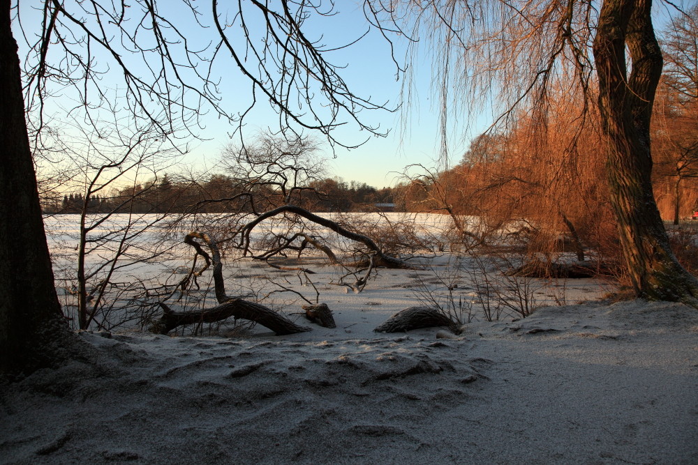 Schnee im neuen Jahr I