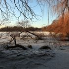 Schnee im neuen Jahr I