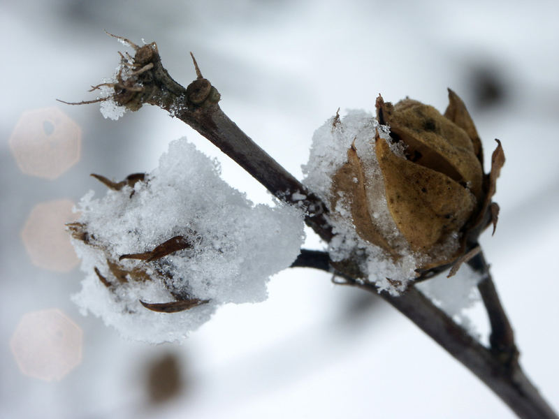 Schnee im November