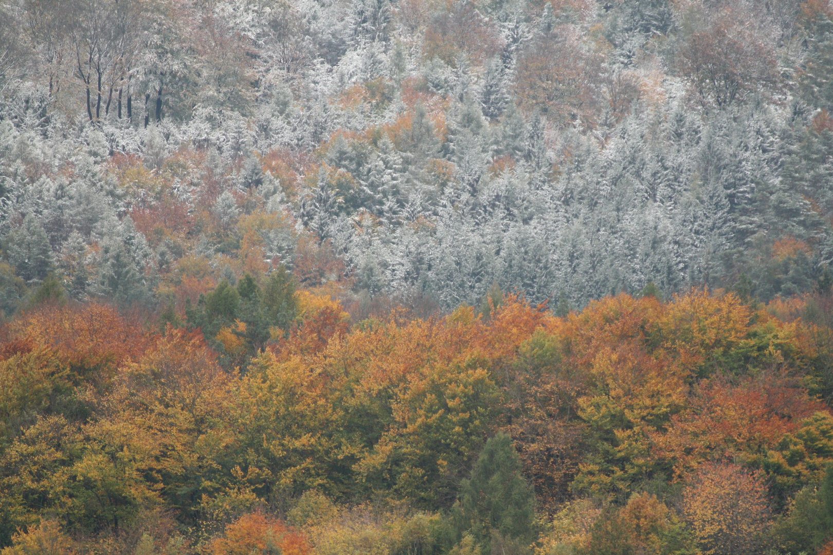 Schnee im Oktober