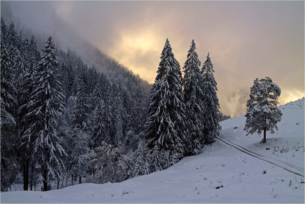 Schnee im Oktober von Uwe Einig 