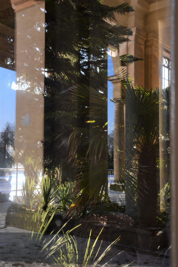 Schnee im Palmenhaus der Orangerie?