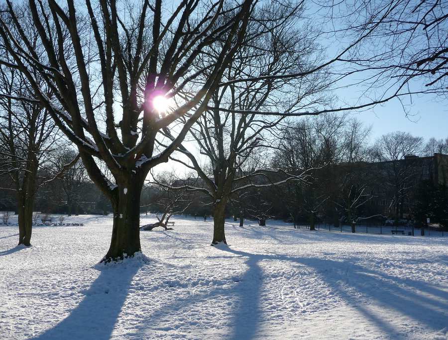 Schnee im Park