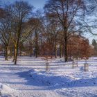 Schnee im Park