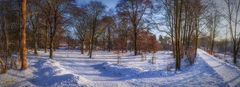 Schnee im Park