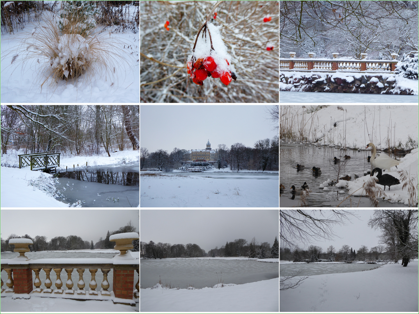 Schnee im Park