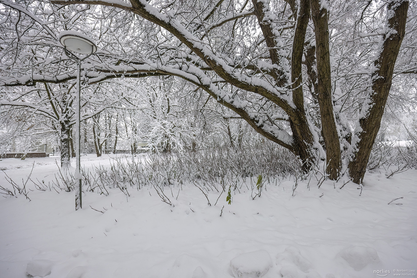 Schnee im Park