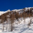 Schnee im Passeiertal