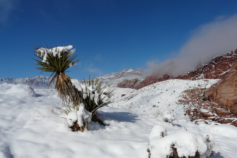 Schnee im Red Rock Canyon, Nevada