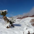 Schnee im Red Rock Canyon, Nevada