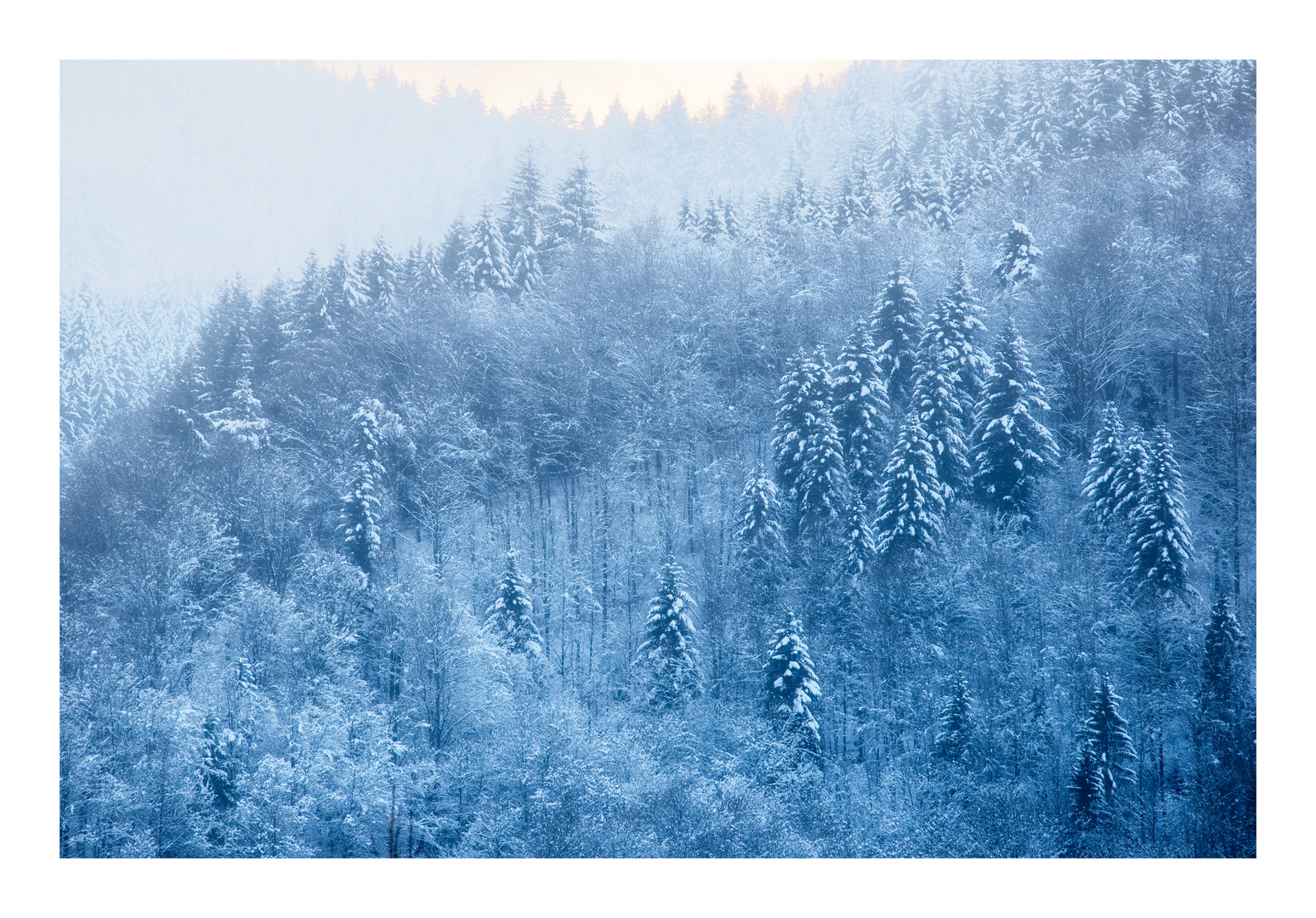 Schnee im Renchtal