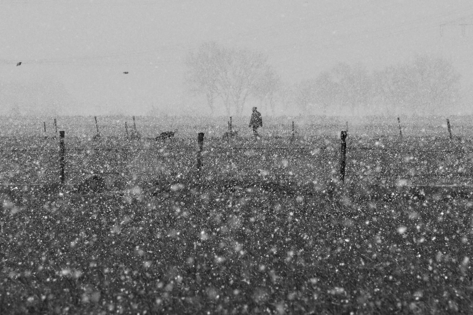 Schnee im Rheinland