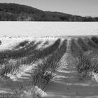 Schnee im Ruhrpott