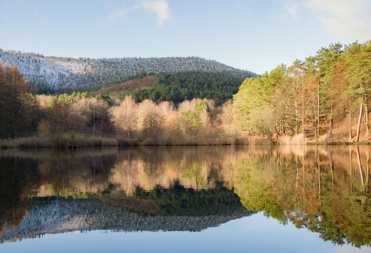 Schnee im Sandwiesenweiher