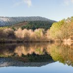 Schnee im Sandwiesenweiher