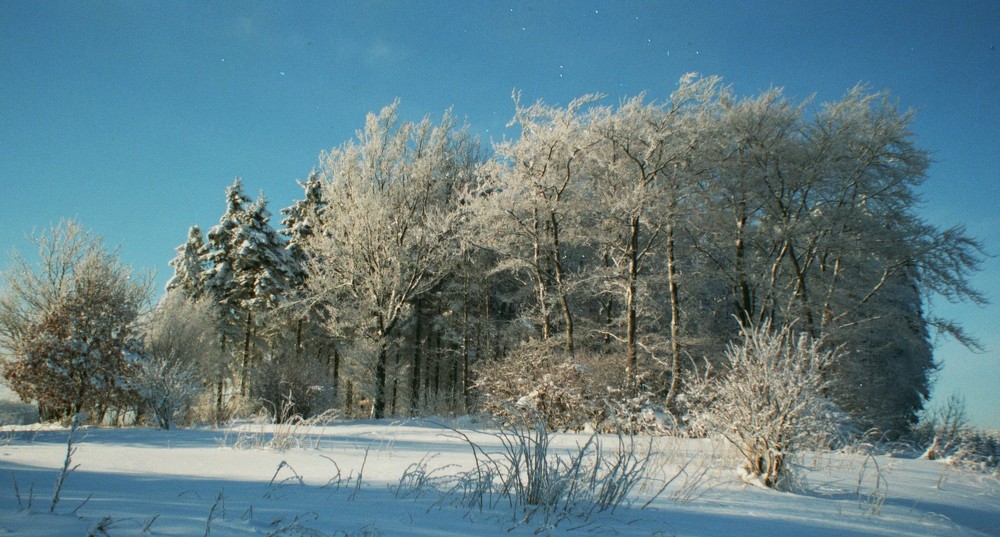 Schnee im Sauerland