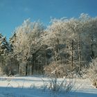 Schnee im Sauerland