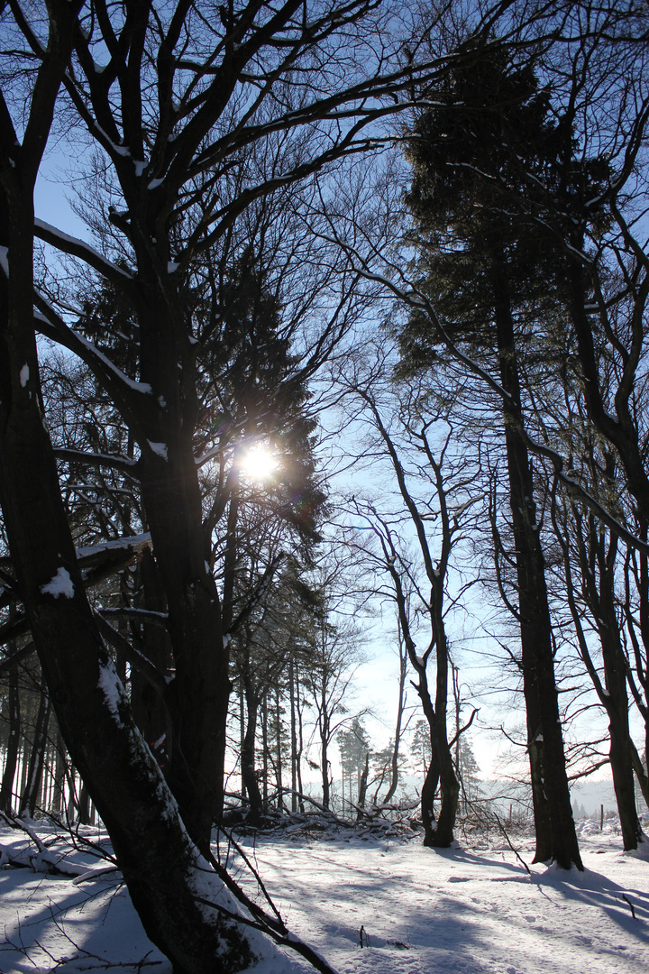 Schnee im Sauerland