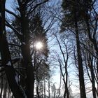 Schnee im Sauerland