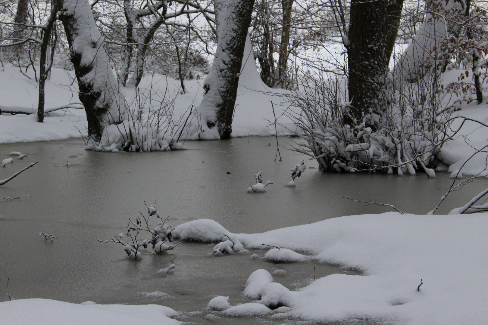 Schnee im Schwarzwald