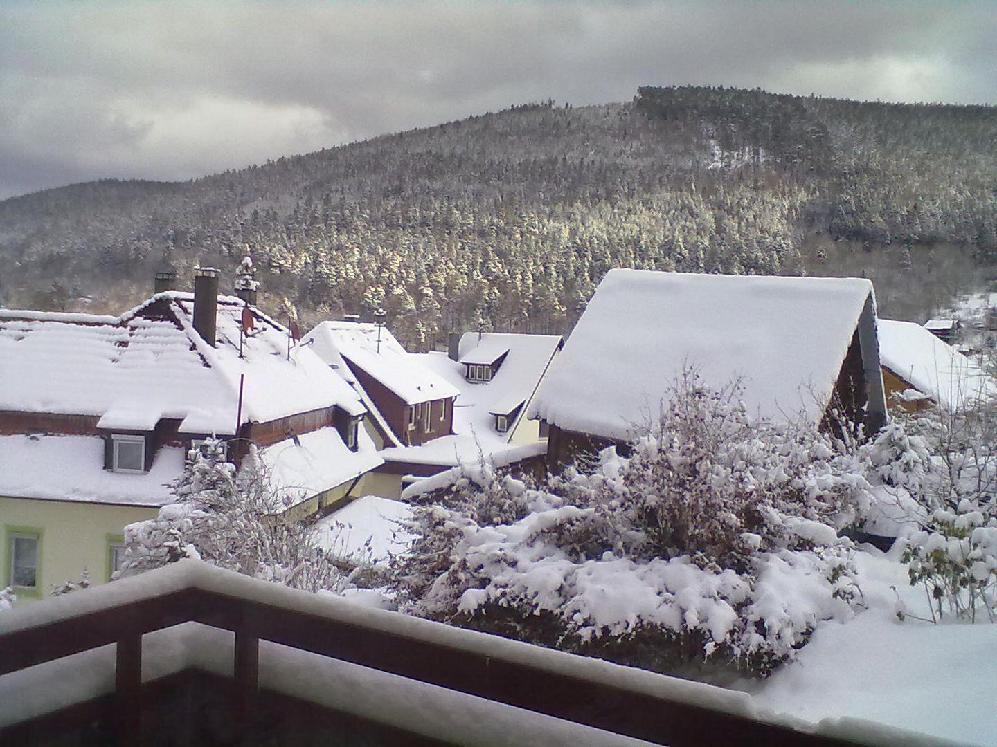 schnee im Schwarzwald