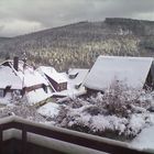 schnee im Schwarzwald