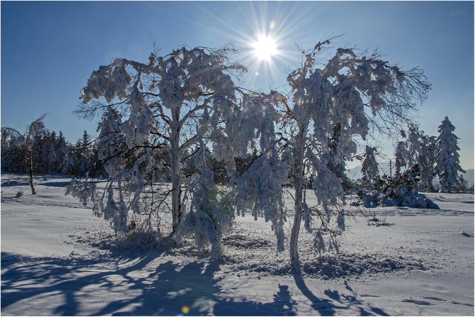 Schnee im Schwarzwald