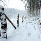 Schnee im Siebengebirge