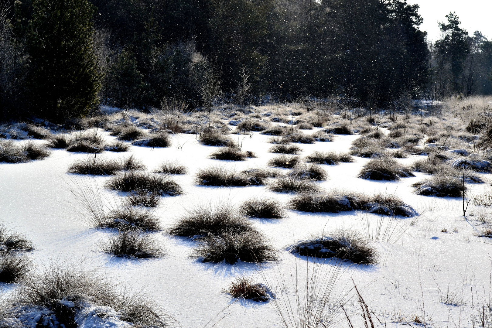 Schnee im Sommer