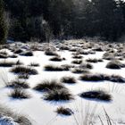 Schnee im Sommer