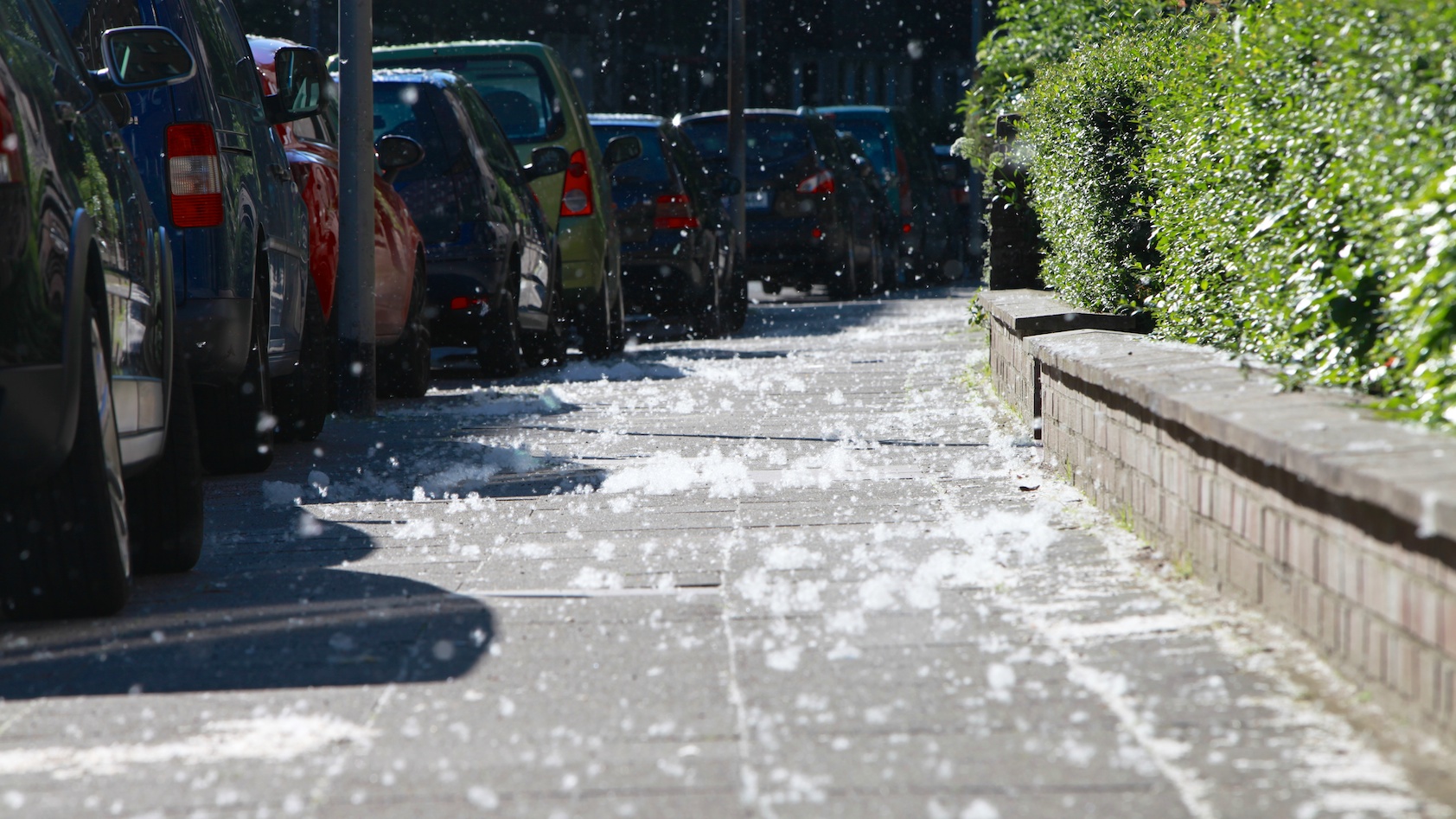 Schnee im Sommer