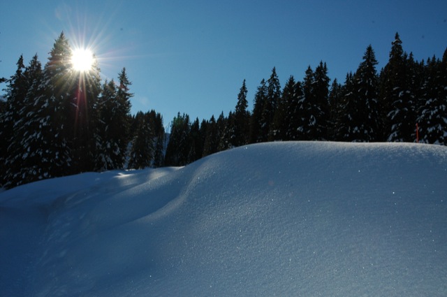 Schnee im Sonnenlicht