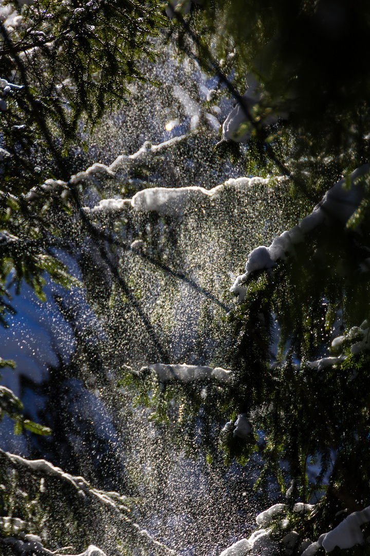 Schnee im Sonnenlicht