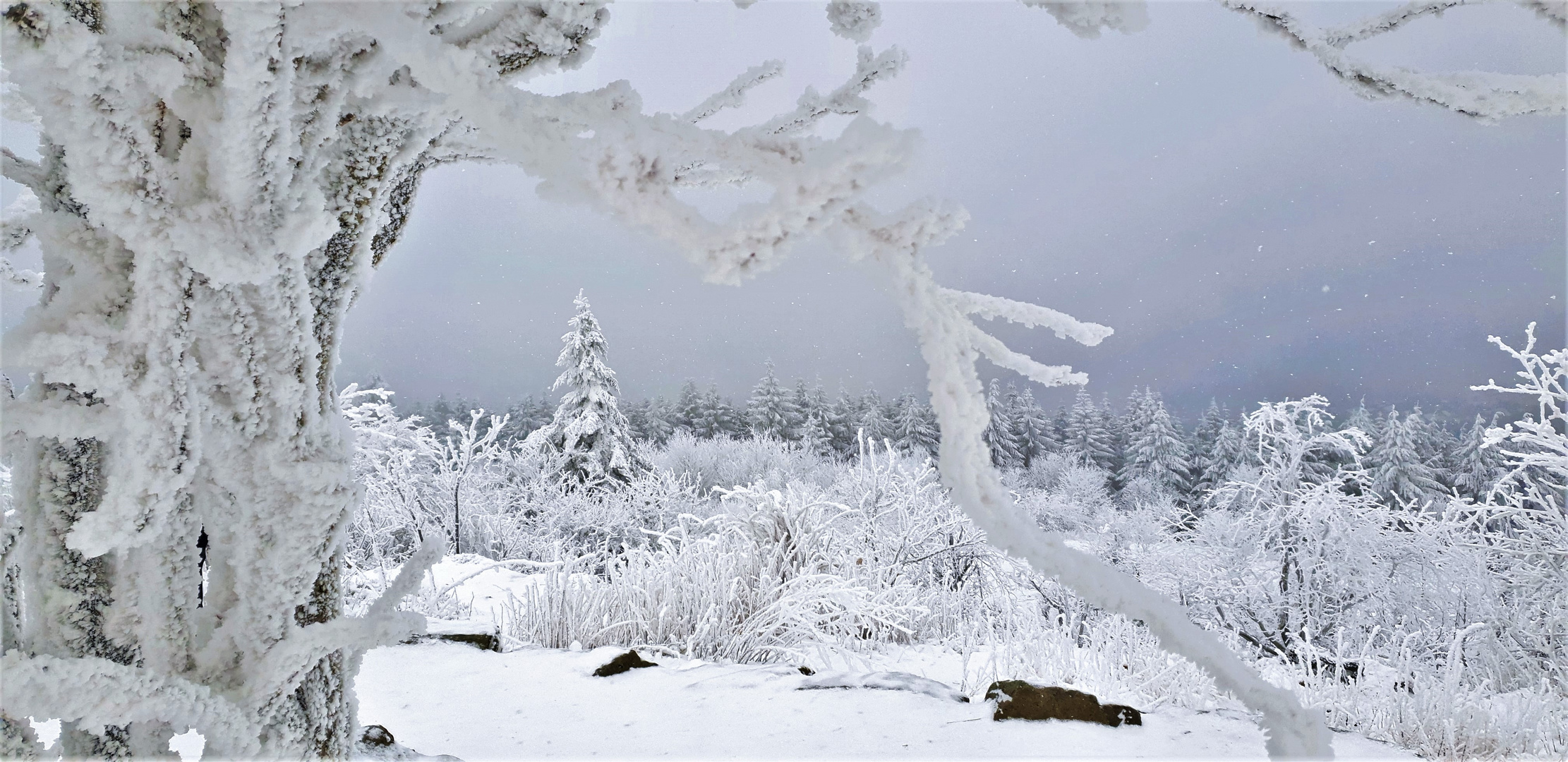 Schnee im Taunus