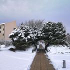 Schnee im Thermalpark Bad Saulgau