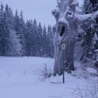 schnee im thüringer wald