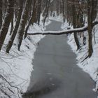 Schnee im Weiherwald