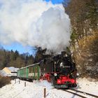 Schnee im Weisseritztal