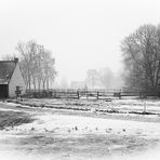 Schnee im Wind