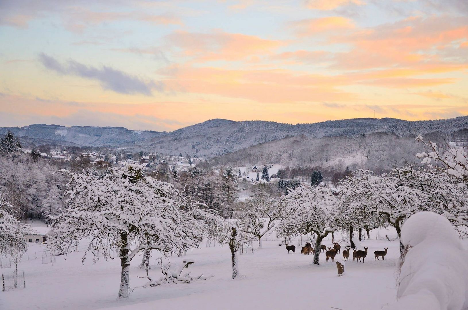 Schnee im Windecker Ländchen