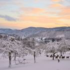 Schnee im Windecker Ländchen