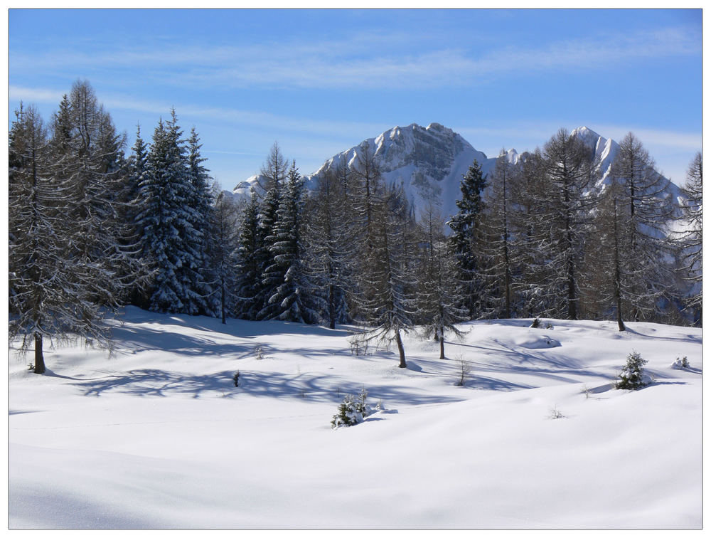 Schnee im Winter 2007