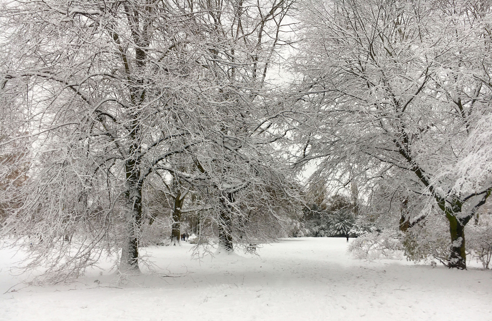 Schnee im Zoopark Düsseldorf