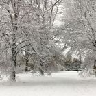 Schnee im Zoopark Düsseldorf