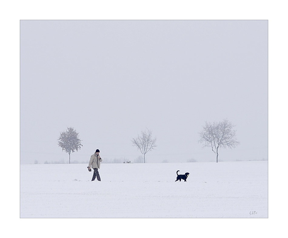 Schnee-Impressionen (II)