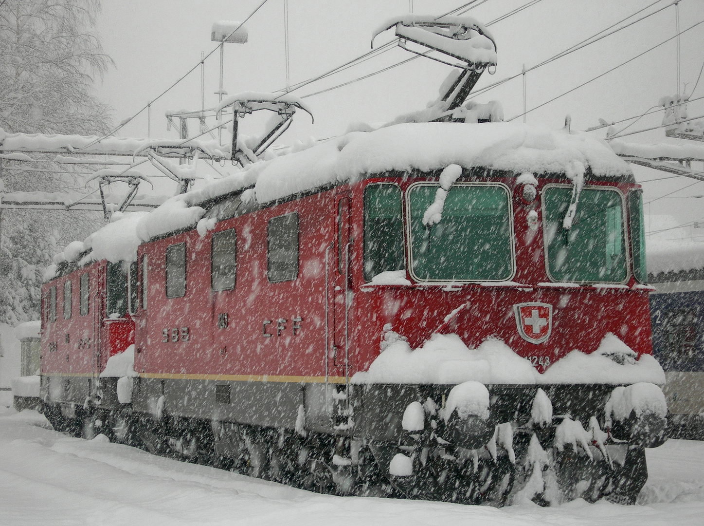 Schnee in Bellinzona   Re 4-4 11243   2. Febr. 2006