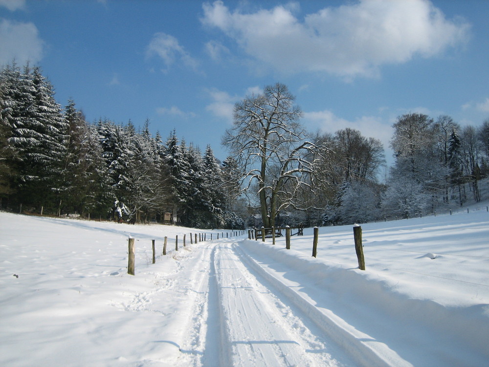 Schnee in Bielefeld