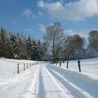 Schnee in Bielefeld