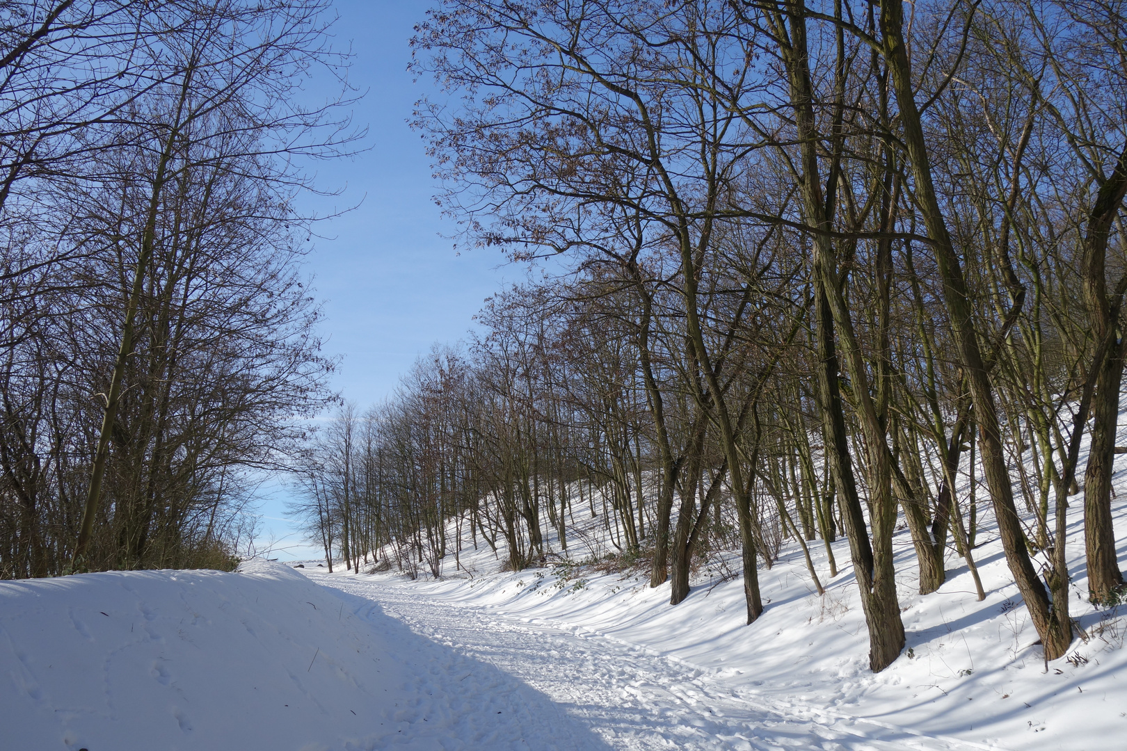 Schnee in Bottrop...