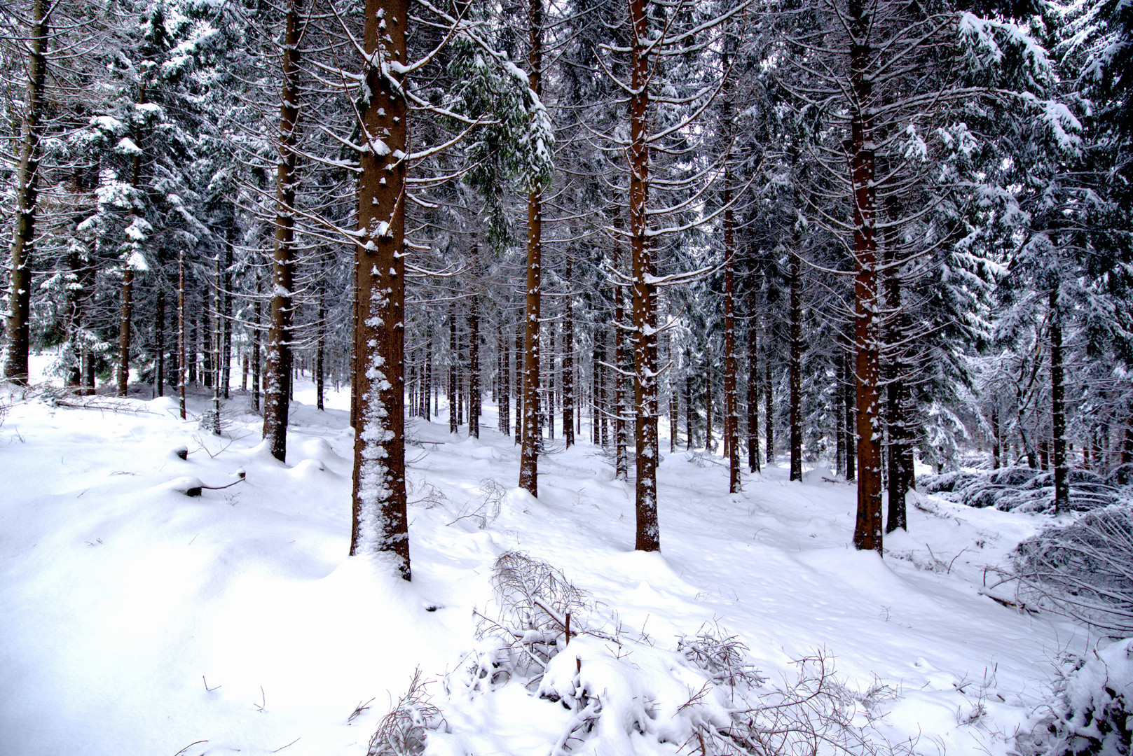 Schnee in Braunlage